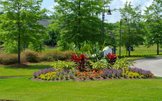 color bed and turf