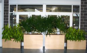 Plant Rentals