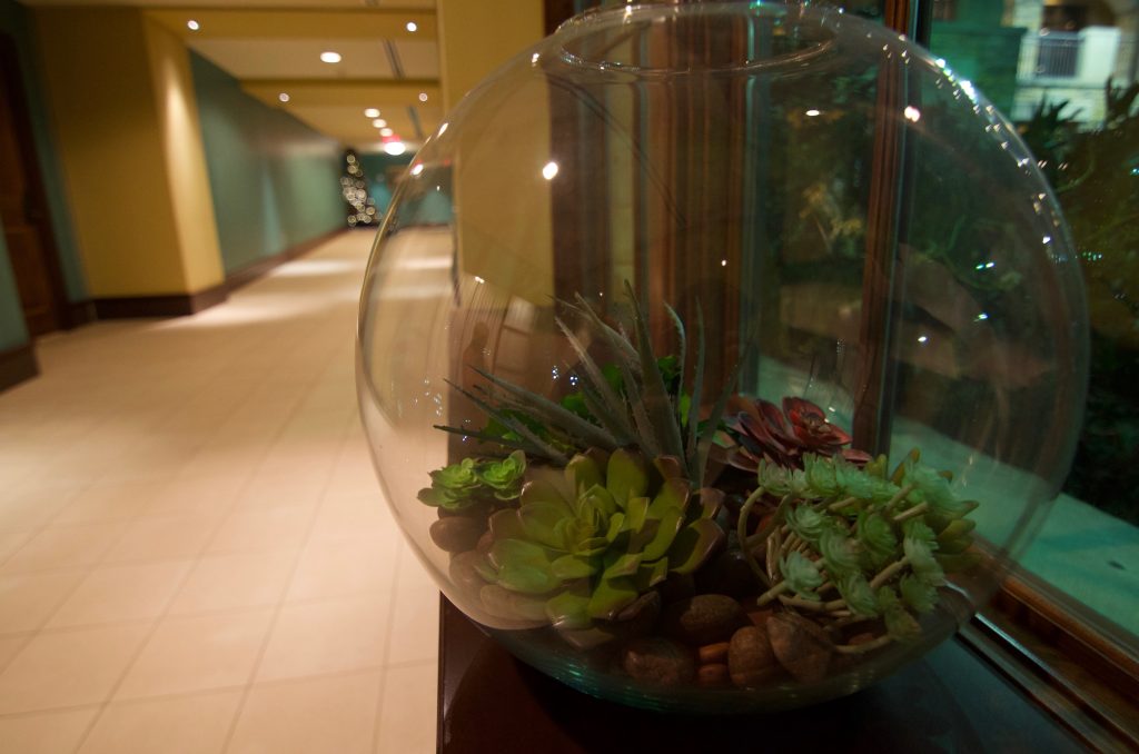 replica succulent in terrrarium