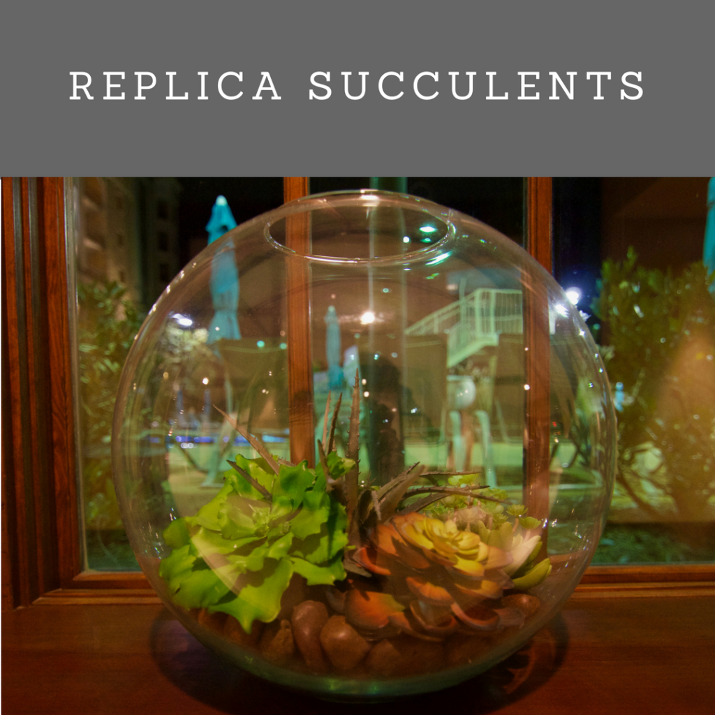 Favorite projects- replica succulents